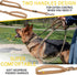 Heavy Duty Bungee Dog Leash 6 ft - 7.5 ft for Large Medium Dogs, No Pull, Reflective, Tactical, Coyote Brown