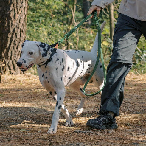 Howgo Leather Dog Leash 6ft - Lightweight Military Grade Heavy Duty Leash for Large, Medium, and Small Dogs