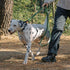 Howgo Leather Dog Leash 6ft - Lightweight Military Grade Heavy Duty Leash for Large, Medium, and Small Dogs