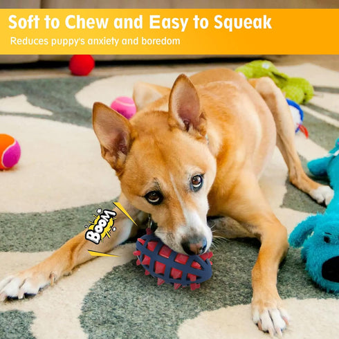 Dog Spiky Toy Ball with Squeaker, Floating Chewing Fetching and Interactive Play (2pc Kit)