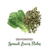 (60g/2.11oz) SHROOTS Dehydrated Vegetable Spinach Leaves (Palak) Air Dried Gluten Free Pure Veg for Soups, Curries
