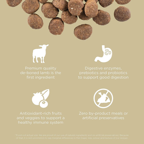 GO! SOLUTIONS Carnivore Grain Free Dog Food, 3.5 lb – Lamb + Wild Boar Recipe – Complete + Balanced Nutrition for All