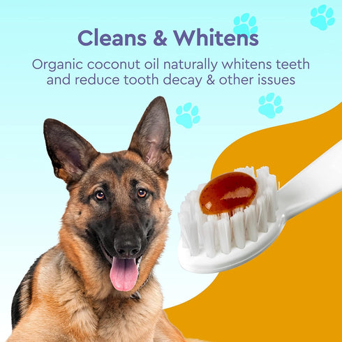 RADIUS USDA Organic Canine Pet Toothpaste 2 Units, 3 oz | Non Toxic Toothpaste for Dogs, Prevent Tartar and Plaque