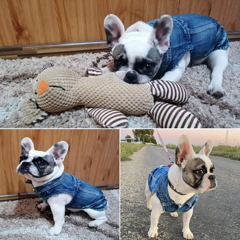 Jean Jacket for Small Medium Dogs Cats - Blue Denim Lapel Vest Coat T-Shirt Costume, Cute Puppy Clothes, Machine