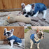 Jean Jacket Blue Denim Lapel Vest Coat, T-Shirt Costume for Small Medium Dogs Cats, Cute Puppy Clothes (XL, Blue)