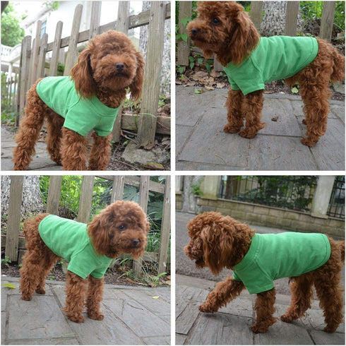 Lovelonglong Pet Clothing - Basic Blank T-Shirt Tee Shirts for Small Dogs (Green, Size S)