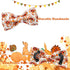 Thanksgiving Turkey Dog Collar Gift - Soft Bow Adjustable Metal Buckle Collar for Medium Dogs