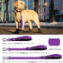 Short Traffic Dog Leash 2 ft, Reflective Nylon Lead with Padded Handle for Large and Medium Dogs, Purple