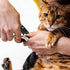 Trimmer, Trimmer Mr. Pen- Cat Nail Clipper with Adjustable LED Light, Green Cat Nail Cat Claw Clippers, Cat Clippers