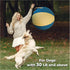 KipSip 18 Herding Ball for Dogs Dog Training Ball with Handles for Medium & Large Breeds Non-Chew Interactive Toy