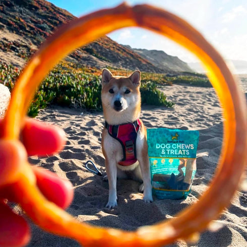 hotspot pets 5 Pack Bully Stick Rings for Dogs, 4 Inch Premium All Natural Beef Pizzle Chew Treats