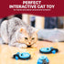 SPOT Doc and Phoebe's Cat Hunting Snacker, Interactive Indoor Treat Dispenser, Pack of 1 Mouse