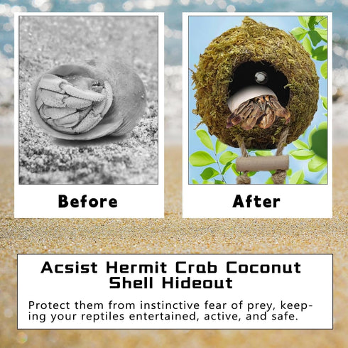 Hermit Crab Moss Coconut Shell Hideout with Climb Ladder,Leopard Gecko Hide Hut with Moss and Sea Shells,Hermit Crab