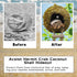 Hermit Crab Moss Coconut Shell Hideout with Climb Ladder,Leopard Gecko Hide Hut with Moss and Sea Shells,Hermit Crab