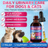 2 Pack WEALLIN Cat & Dog Natural Urinary Tract Infection Treatment with Cranberry, Kidney, and Bladder Support
