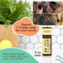 Natural Dog Company Powerhouse Bundle - 5 Healing Balms for Skin Irritations, Cracked Paws, 5 x 0.15oz Travel Sticks