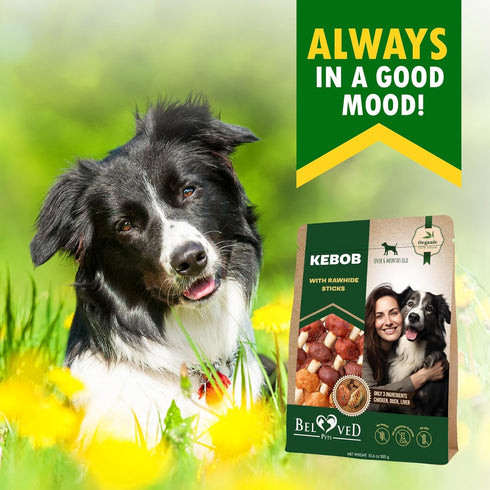 Kabobs Dog Rawhide Treats with Duck & Chicken, Grain Free, Long Lasting Chews for Large & Small Dogs