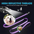 BAAPET 5 Feet Nylon Dog Leash, Triple Reflective Threads with Padded Handle for Walking Medium and Large Dogs (Purple)