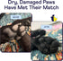 Finn Paw Hero | Natural Revitalizing Dog Paw Balm | Protect, Nourish & Repair Paws from Pavement, Dryness, & Spring Adventures - 1.75 oz