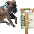 SPOT Bam-Bones Plus Bamboo Stick Bamboo Fiber & Nylon, Durable Long Lasting Dog