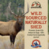 Heartland Elk Antlers for Dogs - Grade A Naturally Shed Antlers | Chew Toy for Aggressive Chewers & Teething Puppies