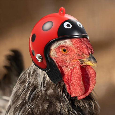 Skylety 8 Pieces Hens Helmet, Chicken Pet Safety Helmet, Funny Bird Hat Headwear for Chicken, Parrot, Parakeet