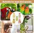 ZHLKHIOP 5-Piece Set Bird Diaper, Parrot Diaper, with Peach, Orange, Watermelon, Banana, Kiwi Designs, Comfortable Fit