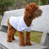 lovelonglong Basic Dog Polo Shirts, Premium Cotton Polo T-Shirts for Large Medium Small Dogs, White, XXXL