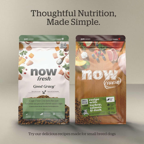 Now Fresh Dry Dog Food for Small Breeds, Turkey, Salmon & Duck Recipe, 6 lbs - Grain Free