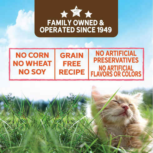 Evolve Grain Free Turkey Stew Wet Cat Food with Veggies in Gravy | 24 pk - 3 oz