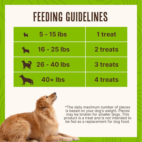 Waggin' Train Chicken Jerky Curls Limited Ingredient, High Protein, Grain Free Dog Jerky Treat - 16 oz Pouch