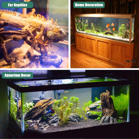 Driftwood for Aquarium - 2 Pieces Large Natural Drift Wood, 14-18 Inches Assorted Branch Decorations for Reptile Hide