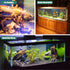 Driftwood for Aquarium - 2 Pieces Large Natural Drift Wood, 14-18 Inches Assorted Branch Decorations for Reptile Hide