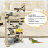 4 2 kathson Large Bird Playground - Natural Wood Perch Gym Layers Parrot Playstand Activity Center with Perches Ladder