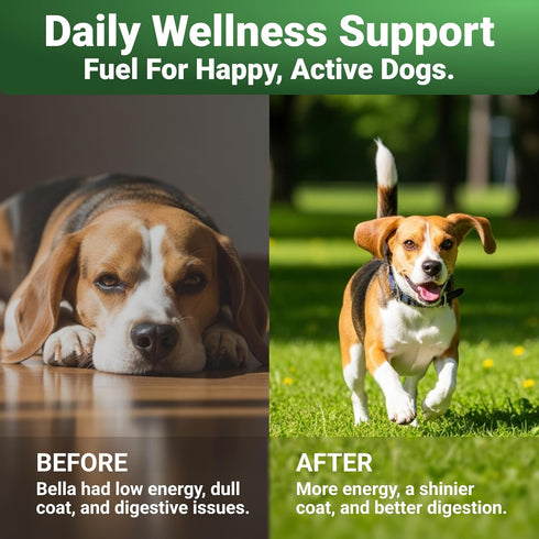 Immune WuffWell Super Greens Powder for Dogs Spirulina, Chlorella, Moringa, Glucosamine & Turmeric Joint, & Skin