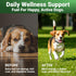 Immune WuffWell Super Greens Powder for Dogs Spirulina, Chlorella, Moringa, Glucosamine & Turmeric Joint, & Skin