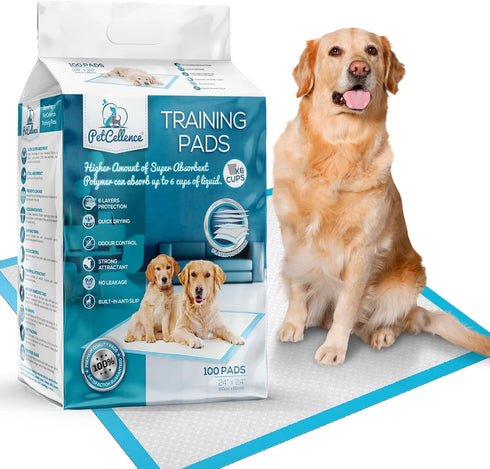 Large Puppy Pads 100 Count - 24" x 24" Pee Pads for
