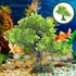 POPETPOP Artificial Aquarium Plant, Plastic Water Plant Tree for Fish Tank Bonsai Ornament and Decor