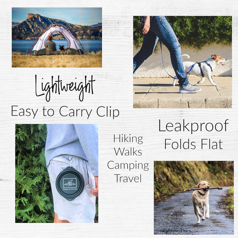 Lucky Love Dog Travel Bowl, Collapsible Compact Water Dish, Rose