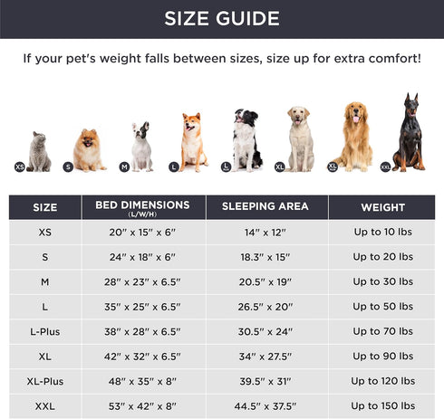 Bedsure Orthopedic Dog Bed, Bolster Sofa Beds for Small Dogs, Supportive Foam Pet Bed with Removable Washable Cover,