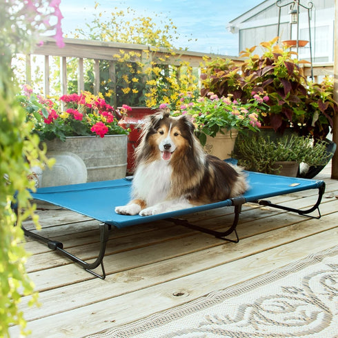 Folding Raised Dog Bed - Large Outdoor Elevated Dog Bed - Heavy Duty Cooling Dog Cot for Camping - Dark Blue