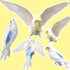 80 Inch 80-105 VANFAVORI Bird Diaper Harness Flight Suit Clothes with Flying Leash Rope for Parrots Conure Cockatiel