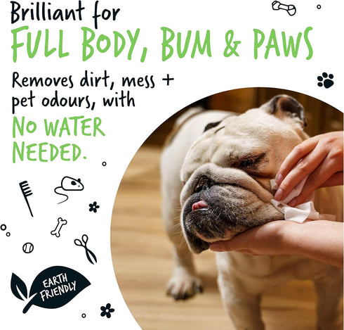 110 Biodegradable Dog Wipes, 100% Plastic Free for Full Body, Eye, Ear, Bum & Paws Grooming, Fragrance Free
