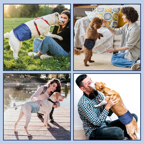 Pet Soft Dog Belly Band - 3 Packs Reusable Male Dog Diapers Belly Wraps, Washable Belly Bands for Male Dogs (Classic, M)
