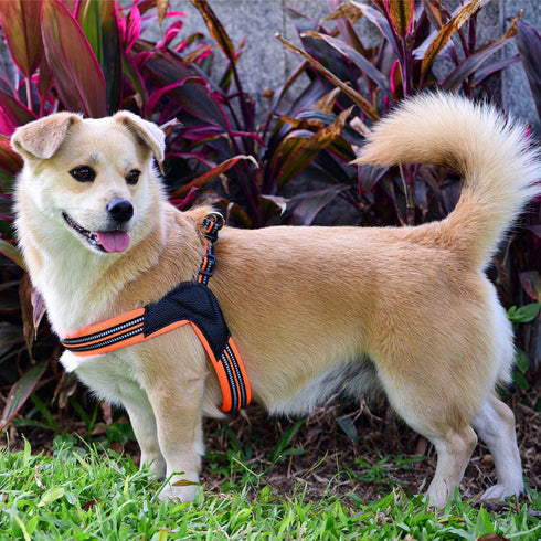 Dog Harness No Pull, Ultra Soft Breathable Padded Pet Harness with 3M Reflective for Small Medium Large Dogs