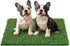Artificial Grass Pad for Dogs Potty: Fake Grass for Dogs Puppy Potty