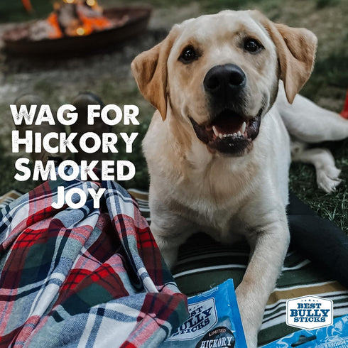 Best Bully Sticks 6 Inch Hickory Smoked 100% Natural Bully Sticks for Dogs, 5 Pack - Odor-Free, Grain-Free Beef Chews