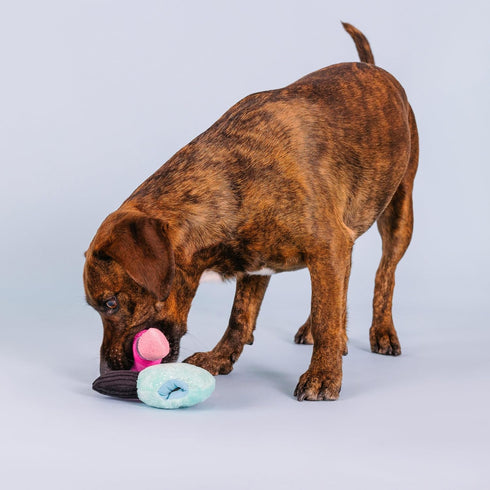 Fringe Studio Plush Dog Toy Set with Treat Pockets for Interactive Play, Wake Up and Make Up, 2 Piece Set