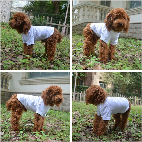 Lovelonglong Pet Clothing Basic Blank T-Shirt Tee for Small Dogs - White, Size L