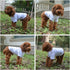 Lovelonglong Pet Clothing Basic Blank T-Shirt Tee for Small Dogs - White, Size L